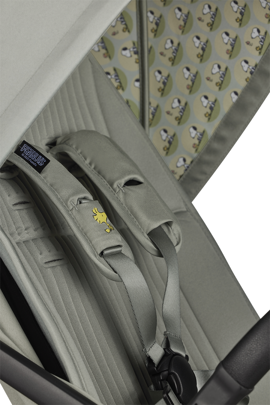 product-image-iconic_6